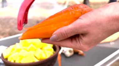 Havuç soymak, sebze soyacağı, yakın plan, orman mutfağı. Yüksek kaliteli FullHD görüntüler
