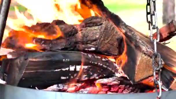 Holz Brennt Kamin Feuer Ofen Die Brennenden Baumstämme Ofenheizung Einem — Stockvideo