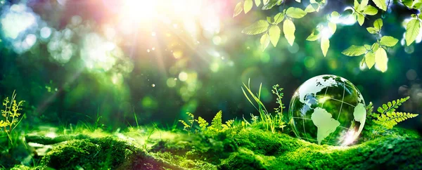 Earth Day Environment Green Globe Forest Moss Defocused Abstract Sunlight — Stock Photo, Image