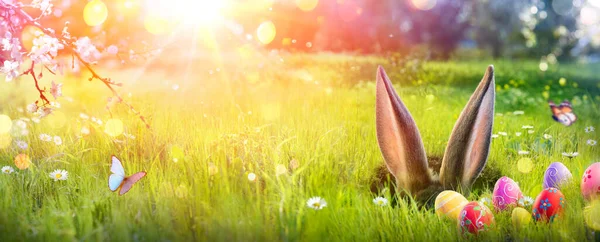 Wielkanoc Uszy Królika Ukryte Dziurze Polu Trawy Jajkami Streszczenie Rozproszone — Zdjęcie stockowe