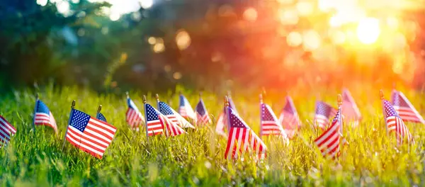 美国国旗在落日落日的草地上 背景简朴 阵亡将士纪念日 免版税图库图片