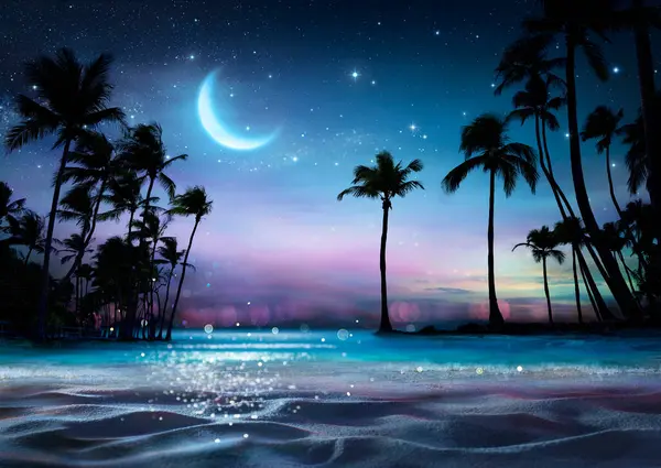 Palm Beach Natten Med Stjerner Måne Glimrende Effekter Havet Royaltyfrie stock-billeder