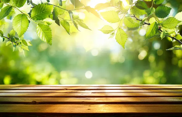 日光浴花园木桌上的春绿叶子 图库图片