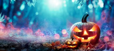 Ormandaki Jack O Lantern - Ürkütücü bir gecede Cadılar Bayramı Balkabağı