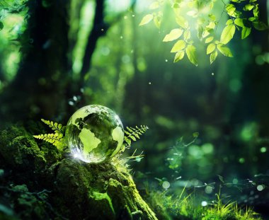 Dünya Günü - Çevre - Yeşil Ormandaki Cam Küre Yosun ve Eğreltiotunun Üzerinde - Odaklanmış Soyut Arkaplan