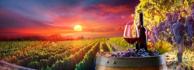 Gün batımında üzüm bağında kırmızı şarap, kırsal alanda fıçıda şişeleri olan şarap kadehi.