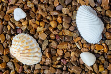 Kaotik bir dizide uzanan taşlar, kehribara benzer bir yapıya ve arka planda üst üste bindirilmiş deniz kabukları ve stüdyoda yapay ışıklandırma altında çekilen hafif kuvars taşlarıyla ton ve renklerine başarılı bir şekilde zıtlığa sahiptir..