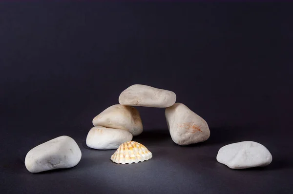 Sony Dsc Bílé Mořské Kameny Ošetřené Mořskou Vodou Vypadají Dobře — Stock fotografie