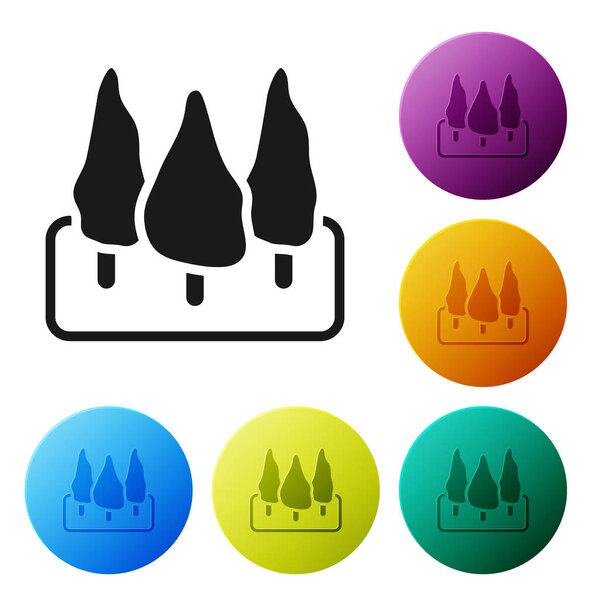 Black Trees icon isolated on white background. Forest symbol. Set icons in color circle buttons. Vector.