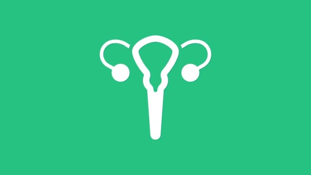 Иконка Белой Женской Репродуктивной Системы Выделена Зеленом Фоне Анатомия Гинекология — стоковое видео