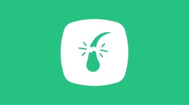 Kırık beyaz saç kökü ikonu yeşil arka planda izole edilmiş. Saç bakımı tedavisi. 4K Video hareketli grafik canlandırması.