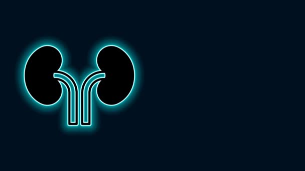 ネオンラインを育てるヒト腎臓のアイコンは黒の背景に隔離されています 4Kビデオモーショングラフィックアニメーション — ストック動画