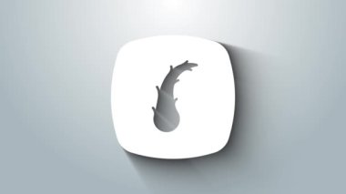 Beyaz insan saç kökü ikonu gri arka planda izole edilmiş. Saç bakımı tedavisi. 4K Video hareketli grafik canlandırması.