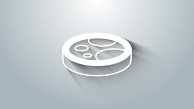 Beyaz petri kabında gri arka planda izole edilmiş bakteri simgesi var. 4K Video hareketli grafik canlandırması.