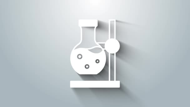 Weißes Glas Reagenzglas Auf Standsymbol Isoliert Auf Grauem Hintergrund Laborgeräte — Stockvideo