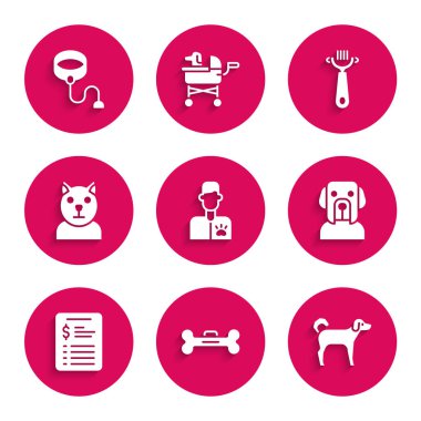 Set Veterinarian doctor Dog bone Grooming salon price list Cat Hair brush for dog and cat and Retractable cord leash icon. Vector.