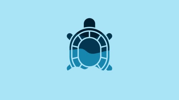 Blue Turtle Icon Isolated Blue Background Video Motion Graphic Animation — Stock video