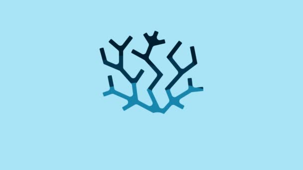 Blue Coral Icon Isolated Blue Background Video Motion Graphic Animation — Stockvideo