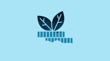 Blue Dollar plant icon isolated on blue background. Business investment growth concept. Money savings and investment. 4K Video motion graphic animation .