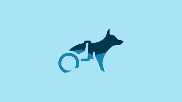 Blue Paralyzed Dog Wheelchair Icon Isolated Blue Background Video Motion — Stock video