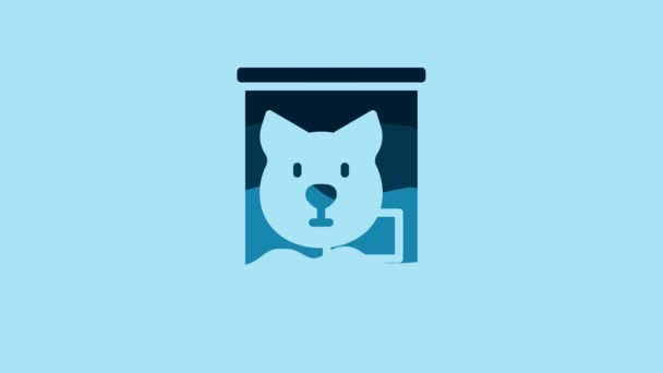 Blue Canned Food Icon Isolated Blue Background Food Animals Pet — Wideo stockowe