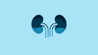 Blue Human kidneys icon isolated on blue background. 4K Video motion graphic animation.