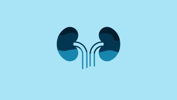 Blue Human Kidneys Icon Isolated Blue Background Video Motion Graphic — Vídeo de stock