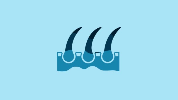 Синій Людський Волосяний Фолікул Значок Ізольований Синьому Фоні Догляд Волоссям — стокове відео