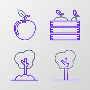 Set line Tree in the ground Wooden box for fruits and vegetables and Apple icon. Vector.