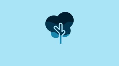 Blue Tree in the ground icon isolated on blue background. Forest symbol. 4K Video motion graphic animation.