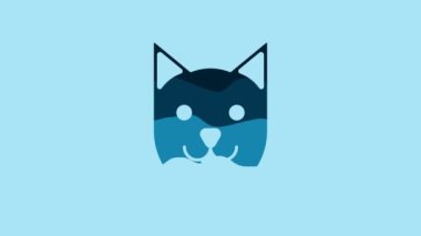 Blue Cat icon isolated on blue background. 4K Video motion graphic animation.