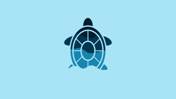 蓝色海龟图标隔离在蓝色背景上 4K视频运动图形动画 — 图库视频影像