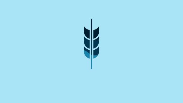 Blue Cereals Set Rice Wheat Corn Oats Rye Barley Icon — Stock video