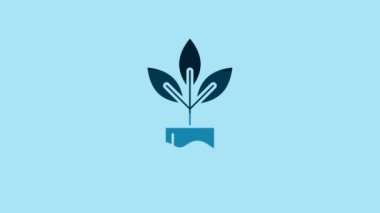 Blue Plant in bottle icon isolated on blue background. Seed and seedling. Leaves sign. Leaf nature. 4K Video motion graphic animation.