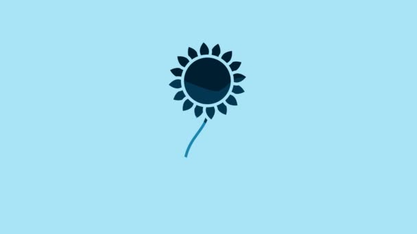Blue Sunflower Icon Isolated Blue Background Video Motion Graphic Animation — Vídeo de Stock