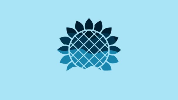 Blue Sunflower Icon Isolated Blue Background Video Motion Graphic Animation — Vídeo de Stock