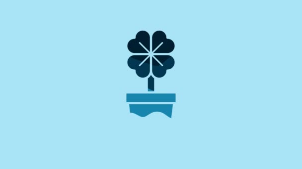 Blue Four Leaf Clover Pot Icon Isolated Blue Background Happy — 비디오