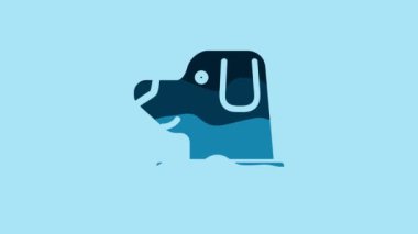Blue Dog in astronaut helmet icon isolated on blue background. 4K Video motion graphic animation.