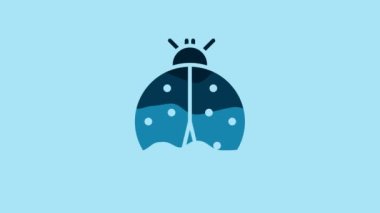 Blue Ladybug icon isolated on blue background. 4K Video motion graphic animation.