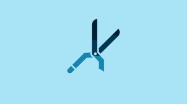 Blue Gardening handmade scissors for trimming icon isolated on blue background. Pruning shears with wooden handles. 4K Video motion graphic animation.