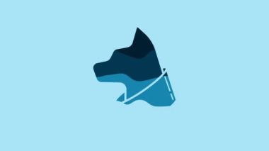 Blue Cat icon isolated on blue background. 4K Video motion graphic animation.