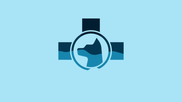Blue Veterinary Clinic Symbol Icon Isolated Blue Background Cross Dog — Wideo stockowe
