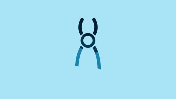 Blue Dental Pliers Icon Isolated Blue Background Dental Equipment Video — 图库视频影像