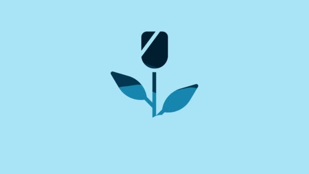 青の背景に青の花のバラのアイコンが孤立 4Kビデオモーショングラフィックアニメーション — ストック動画