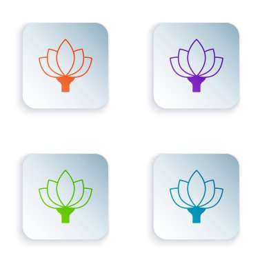 Beyaz arkaplanda izole edilmiş renkli nilüfer çiçeği simgesi. Kare düğmelere renkli simgeleri yerleştir. Vektör.