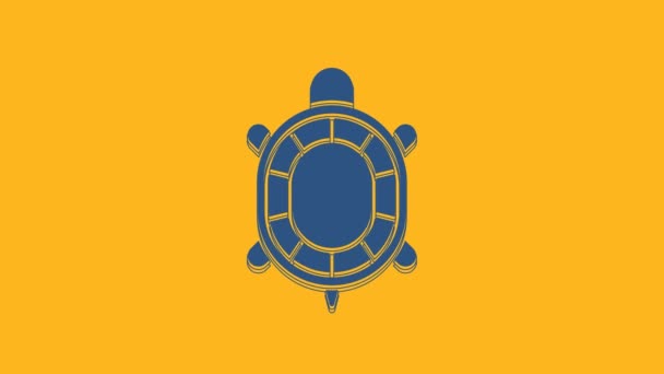 Blue Turtle Icon Isolated Orange Background Video Motion Graphic Animation — Stock video