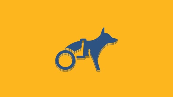 Blue Paralyzed Dog Wheelchair Icon Isolated Orange Background Video Motion — Stockvideo