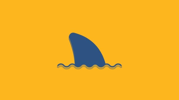 Blue Shark Fin Ocean Wave Icon Isolated Orange Background Video — Video