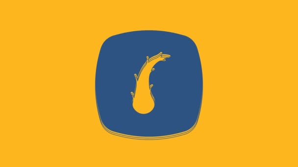 Иконка Волосяного Фолликула Синего Цвета Выделена Оранжевом Фоне Уход Волосами — стоковое видео