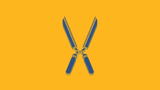 蓝色园艺手工剪子 用来修剪橙色背景下的图标 用木柄修剪剪子 4K视频运动图形动画 — 图库视频影像